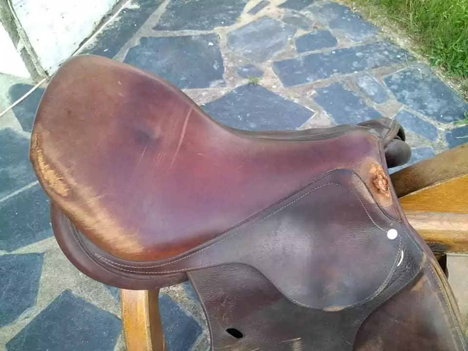 Reparation-equitation (2)